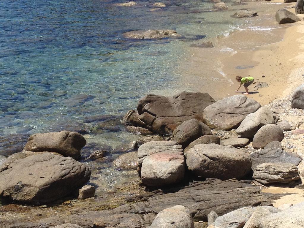 Apartament Platja Palangrers Roses Værelse billede